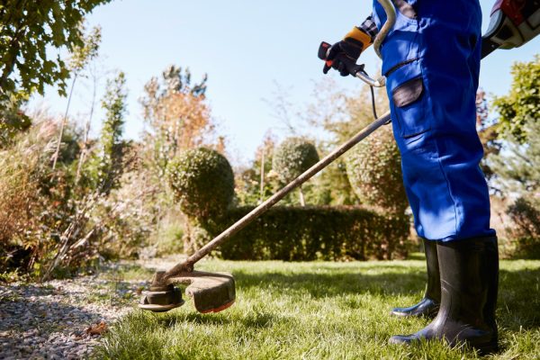 jardinier-weedwacker-coupant-herbe-dans-jardin